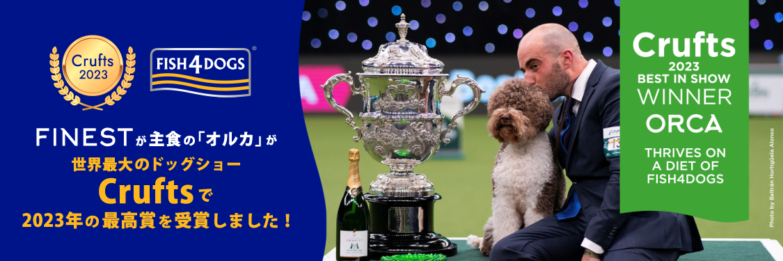 Crufts